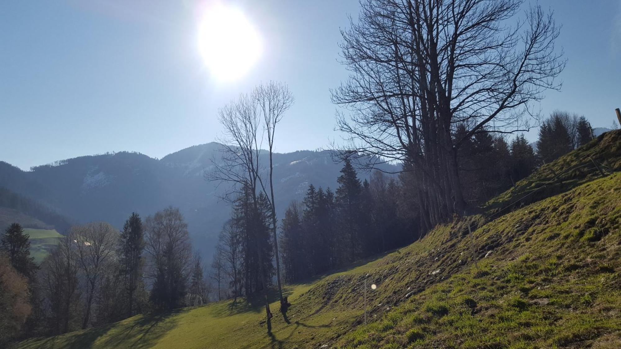 Kloiberhof Villa Oblarn Dış mekan fotoğraf